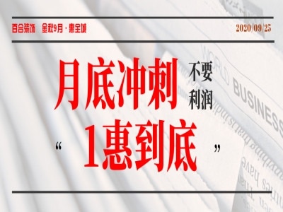 百合装饰 - 月底冲刺·不要利润·仅限9月25日